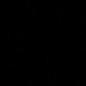 Meet your Posher, Jade